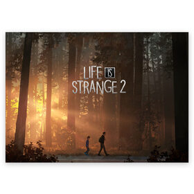 Поздравительная открытка с принтом Life is Strange 2 в Рязани, 100% бумага | плотность бумаги 280 г/м2, матовая, на обратной стороне линовка и место для марки
 | adventure | life | life is strange | road | video game | дороги | жизнь | закат | квест | лес | приключения