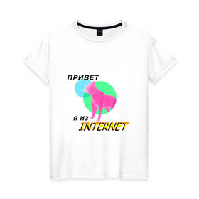 Женская футболка хлопок с принтом Привет я из internet в Рязани, 100% хлопок | прямой крой, круглый вырез горловины, длина до линии бедер, слегка спущенное плечо | internet | интернет | кот | мем | мемы про котов | надпись | прикол