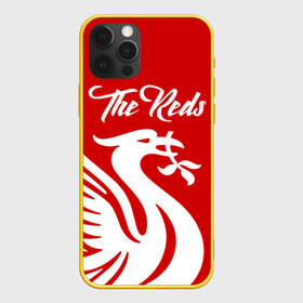 Чехол для iPhone 12 Pro Max с принтом Ливерпуль в Рязани, Силикон |  | anfield | liverpool | liverpool fc | the reds | you ll never walk a | клубная | красные | ливерпуль | мерсисайдцы | фанатская | футбольная | футбольный клуб | футбольный клуб ливерпуль | энфилд