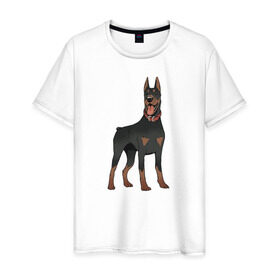 Мужская футболка хлопок с принтом Доберман в Рязани, 100% хлопок | прямой крой, круглый вырез горловины, длина до линии бедер, слегка спущенное плечо. | doberman | dobermann | dog | доберман | собака | собаки