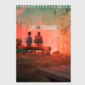 Скетчбук с принтом Life is Strange в Рязани, 100% бумага
 | 48 листов, плотность листов — 100 г/м2, плотность картонной обложки — 250 г/м2. Листы скреплены сверху удобной пружинной спиралью | caulfield | chloe price | game | kate marsh | life | life is strange | life is strange: before the storm | max | strange | две луны | игры | кейт марш | колфилд | макс | подростки | студенты