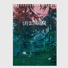 Скетчбук с принтом Life IS Strange в Рязани, 100% бумага
 | 48 листов, плотность листов — 100 г/м2, плотность картонной обложки — 250 г/м2. Листы скреплены сверху удобной пружинной спиралью | caulfield | chloe price | game | kate marsh | life | life is strange | life is strange: before the storm | max | strange | две луны | игры | кейт марш | колфилд | макс | подростки | студенты