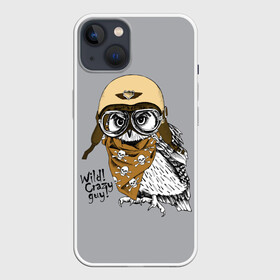 Чехол для iPhone 13 с принтом Wild Сrazy guy в Рязани,  |  | wild сrazy guy дикий | бандана | взгляд | графика | искусство | картинка | каска | коричневый | кости | крутой | лучший | мода | модный | молодёжная | очки | пилот | платок | птица | рисунок | серый | сова