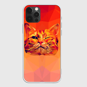 Чехол для iPhone 12 Pro Max с принтом Подмигивающий кот (Low Poly) в Рязани, Силикон |  | cat | fox | kitty | low | lowpoly | poly | веселая | геометрия | грозовой кошак | желтая | кот | котейка | котофей | кошак | лиса | любителям кошек | низкополигональный | позитив | прикольная | рисунок | рыжая | узор