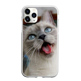 Чехол для iPhone 11 Pro матовый с принтом Сиамский котенок в Рязани, Силикон |  | животные | кот | котенок | котик | кошечка | кошка | милый | мордочка | показывает язык | прикол | серый | сиамская | сиамская кошка | сиамский котенок | юмор | язык