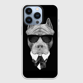 Чехол для iPhone 13 Pro с принтом Питбуль в Рязани,  |  | Тематика изображения на принте: animals | black | black and white | cool | dog | fight | gentleman | head | illustration | pitbull | swag | white | авторитет | белая | бойцовый | галстук бабочка | голова | джентльмен | животные | иллюстрация | костюм | крутой | очки | 