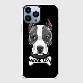 Чехол для iPhone 13 Pro Max с принтом Стаффордширский терьер в Рязани,  |  | animal | bone | breed | dog | fight | head | inscription | look | muzzle | staffordshire | terrier | бойцовая | взгляд | голова | животное | кость | надпись | порода | собака | стаффордширский | терьер