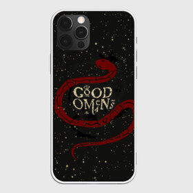 Чехол для iPhone 12 Pro Max с принтом Змея Good Omens в Рязани, Силикон |  | evil | good | good omens | азирафель | ангел | благие намерения | гуд оменс | демон | добро | зло | змея | кроули