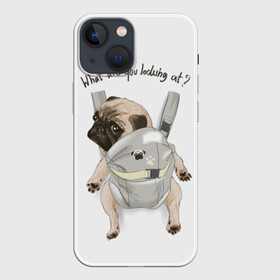 Чехол для iPhone 13 mini с принтом Мопс в рюкзаке в Рязани,  |  | background | backpack | breed | brown | color | cute | dog | funny | gray | look | muzzle | paws | pug | puppy | slogan | small | trace | white | белый | взгляд | коричневый | лапы | маленький | милый | мопс | пес | порода | прикольный | рюкзак | 