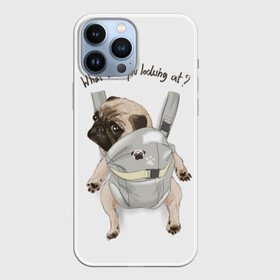 Чехол для iPhone 13 Pro Max с принтом Мопс в рюкзаке в Рязани,  |  | background | backpack | breed | brown | color | cute | dog | funny | gray | look | muzzle | paws | pug | puppy | slogan | small | trace | white | белый | взгляд | коричневый | лапы | маленький | милый | мопс | пес | порода | прикольный | рюкзак | 