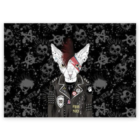 Поздравительная открытка с принтом Кот в косухе в Рязани, 100% бумага | плотность бумаги 280 г/м2, матовая, на обратной стороне линовка и место для марки
 | anarchy | breed | cat | clothes | cool | hairstyle | icon | jacket | kote | mohawk | muzzle | piercing | punk | riveting | rock | skull | sphinx | spikes | tattoo | анархия | значок | ирокез | к | клепки | кот | котик | котэ | круто | куртка | оде