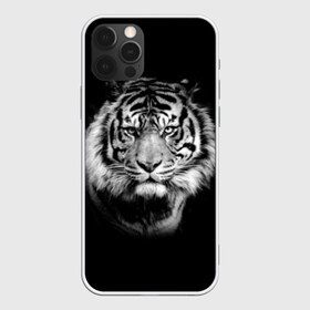 Чехол для iPhone 12 Pro Max с принтом Тигр в Рязани, Силикон |  | animal | beautiful | black | cool | fangs | fauna | mustache | muzzle | nature | photo | predator | striped | tiger | view | white | wild | wool | белый | взгляд | дикий | животное | клыки | красивый | круто | полосатый | природа | тигр | усы | фа