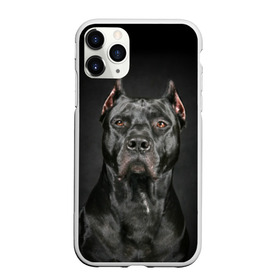 Чехол для iPhone 11 Pro матовый с принтом Питбуль в Рязани, Силикон |  | animal | black | breed | bull | combat | dog | ears | eyes | image | muzzle | nose | pit bull | portrait | боевой | бугай | глаза | животное | изображение | нос | пес | питбуль | порода | портрет | псина | собака | уши | черный