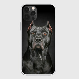 Чехол для iPhone 12 Pro Max с принтом Питбуль в Рязани, Силикон |  | Тематика изображения на принте: animal | black | breed | bull | combat | dog | ears | eyes | image | muzzle | nose | pit bull | portrait | боевой | бугай | глаза | животное | изображение | нос | пес | питбуль | порода | портрет | псина | собака | уши | черный