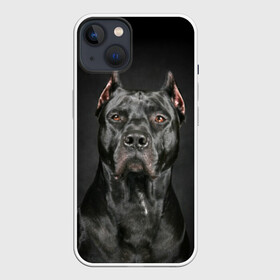 Чехол для iPhone 13 с принтом Питбуль в Рязани,  |  | animal | black | breed | bull | combat | dog | ears | eyes | image | muzzle | nose | pit bull | portrait | боевой | бугай | глаза | животное | изображение | нос | пес | питбуль | порода | портрет | псина | собака | уши | черный