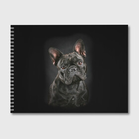 Альбом для рисования с принтом Французский бульдог в Рязани, 100% бумага
 | матовая бумага, плотность 200 мг. | Тематика изображения на принте: animal | background | beast | black | breed | bulldog | cool | cute | dog | ears | french | jaw | look | muzzle | portrait | wool | бульдог | взгляд | животное | зверь | милый | пёс | порода | портрет | прикольно | псина | собака | уши | фон | фра