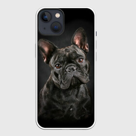 Чехол для iPhone 13 с принтом Французский бульдог в Рязани,  |  | animal | background | beast | black | breed | bulldog | cool | cute | dog | ears | french | jaw | look | muzzle | portrait | wool | бульдог | взгляд | животное | зверь | милый | пёс | порода | портрет | прикольно | псина | собака | уши | фон | фра