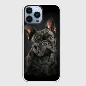 Чехол для iPhone 13 Pro Max с принтом Французский бульдог в Рязани,  |  | animal | background | beast | black | breed | bulldog | cool | cute | dog | ears | french | jaw | look | muzzle | portrait | wool | бульдог | взгляд | животное | зверь | милый | пёс | порода | портрет | прикольно | псина | собака | уши | фон | фра