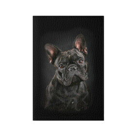 Обложка для паспорта матовая кожа с принтом Французский бульдог в Рязани, натуральная матовая кожа | размер 19,3 х 13,7 см; прозрачные пластиковые крепления | animal | background | beast | black | breed | bulldog | cool | cute | dog | ears | french | jaw | look | muzzle | portrait | wool | бульдог | взгляд | животное | зверь | милый | пёс | порода | портрет | прикольно | псина | собака | уши | фон | фра