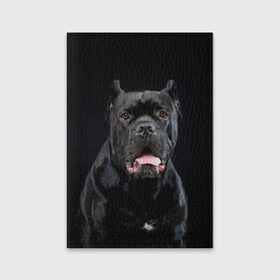 Обложка для паспорта матовая кожа с принтом Черный кан - корсо в Рязани, натуральная матовая кожа | размер 19,3 х 13,7 см; прозрачные пластиковые крепления | Тематика изображения на принте: animal | background | beast | black | breed | can   corso | cool | cute | dog | ears | fangs | jaw | look | muzzle | portrait | tongue | wool | взгляд | животное | зверь | кан   корсо | клыки | милый | пёс | порода | портрет | прикольно | псина | 