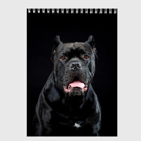 Скетчбук с принтом Черный кан - корсо в Рязани, 100% бумага
 | 48 листов, плотность листов — 100 г/м2, плотность картонной обложки — 250 г/м2. Листы скреплены сверху удобной пружинной спиралью | Тематика изображения на принте: animal | background | beast | black | breed | can   corso | cool | cute | dog | ears | fangs | jaw | look | muzzle | portrait | tongue | wool | взгляд | животное | зверь | кан   корсо | клыки | милый | пёс | порода | портрет | прикольно | псина | 