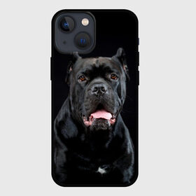 Чехол для iPhone 13 mini с принтом Черный кан   корсо в Рязани,  |  | animal | background | beast | black | breed | can   corso | cool | cute | dog | ears | fangs | jaw | look | muzzle | portrait | tongue | wool | взгляд | животное | зверь | кан   корсо | клыки | милый | пёс | порода | портрет | прикольно | псина | 
