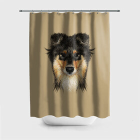 Штора 3D для ванной с принтом Sheltie в Рязани, 100% полиэстер | плотность материала — 100 г/м2. Стандартный размер — 146 см х 180 см. По верхнему краю — пластиковые люверсы для креплений. В комплекте 10 пластиковых колец | animal | black | breed | brown | cute | dog | drawing | eyes | kind | look | muzzle | portrait | red | взгляд | глаза | добрый | животное | коричневый | милый | пёс | порода | портрет | рисунок | рыжий | собака | черный | шелти