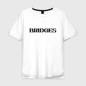 Мужская футболка хлопок Oversize с принтом BRIDGES в Рязани, 100% хлопок | свободный крой, круглый ворот, “спинка” длиннее передней части | bridges | death stranding | fragile express | games | kojima | kojima productions | logo | ludens | игры | кодзима | лого | люденс