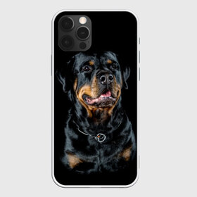 Чехол для iPhone 12 Pro Max с принтом Ротвейлер в Рязани, Силикон |  | Тематика изображения на принте: animal | black | breed | collar | dog | friend | glance | gloss | man | muzzle | rottweiler | взгляд | друг | животное | лоск | ошейник | пёс | порода | ротвейлер | собака | человека | черный