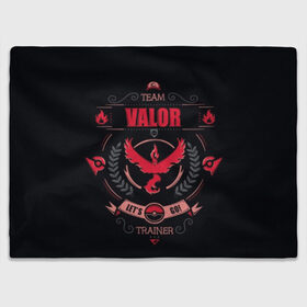 Плед 3D с принтом Team Valor Trainer в Рязани, 100% полиэстер | закругленные углы, все края обработаны. Ткань не мнется и не растягивается | battle | drawing | entei | go | legendary | lugia | metagross | nintendo | pikachu | pokemon | raikou | squirtle | zapdos | брок | бульбазавр | мисти | монстр | пикачу | покемон | эш