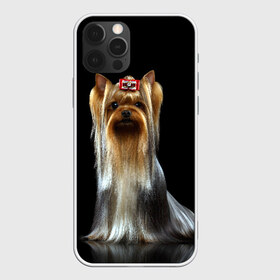 Чехол для iPhone 12 Pro Max с принтом Йоркширский терьер в Рязани, Силикон |  | animal | barrette | breed | cute | dog | funny | muzzle | small | terrier | yorkshire | животное | забавный | заколка | йоркширский | маленький | милый | порода | смешной | собака | терьер