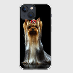 Чехол для iPhone 13 mini с принтом Йоркширский терьер в Рязани,  |  | animal | barrette | breed | cute | dog | funny | muzzle | small | terrier | yorkshire | животное | забавный | заколка | йоркширский | маленький | милый | порода | смешной | собака | терьер