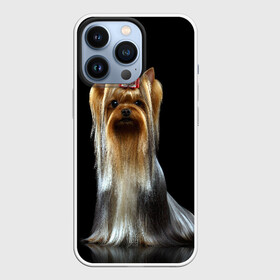 Чехол для iPhone 13 Pro с принтом Йоркширский терьер в Рязани,  |  | animal | barrette | breed | cute | dog | funny | muzzle | small | terrier | yorkshire | животное | забавный | заколка | йоркширский | маленький | милый | порода | смешной | собака | терьер