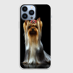 Чехол для iPhone 13 Pro Max с принтом Йоркширский терьер в Рязани,  |  | Тематика изображения на принте: animal | barrette | breed | cute | dog | funny | muzzle | small | terrier | yorkshire | животное | забавный | заколка | йоркширский | маленький | милый | порода | смешной | собака | терьер