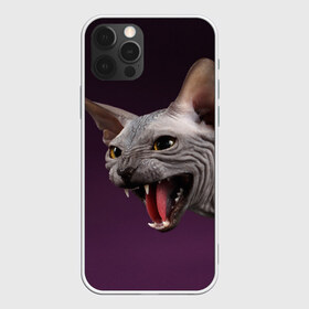 Чехол для iPhone 12 Pro Max с принтом Сфинкс в Рязани, Силикон |  | aggressive | angry | animal | bald | breed | cat | dangerous | fangs | gray | purple | sphinx | агрессивный | животное | злой | клыки | кот | лысый | опасный | порода | серый | сфинкс | фиолетовый