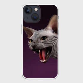 Чехол для iPhone 13 mini с принтом Сфинкс в Рязани,  |  | aggressive | angry | animal | bald | breed | cat | dangerous | fangs | gray | purple | sphinx | агрессивный | животное | злой | клыки | кот | лысый | опасный | порода | серый | сфинкс | фиолетовый