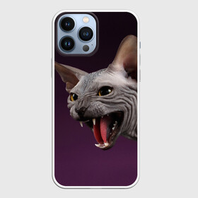 Чехол для iPhone 13 Pro Max с принтом Сфинкс в Рязани,  |  | aggressive | angry | animal | bald | breed | cat | dangerous | fangs | gray | purple | sphinx | агрессивный | животное | злой | клыки | кот | лысый | опасный | порода | серый | сфинкс | фиолетовый