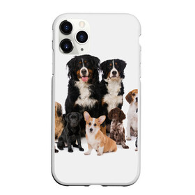 Чехол для iPhone 11 Pro матовый с принтом Породистые собаки в Рязани, Силикон |  | animal | bernese | breed | bulldog | corgi | cute | dog | french | funny | jack | labrador | mountain dog | muzzle | paws | pug | puppy | spaniel | бернский | бульдог | джек рассел | животное | забавный | зенненхунд | корги | лабрадор | лапы | милый