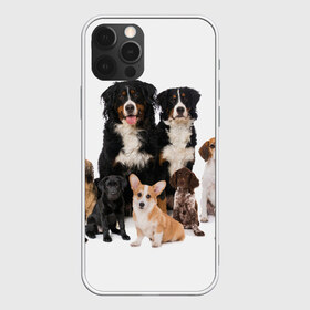 Чехол для iPhone 12 Pro Max с принтом Породистые собаки в Рязани, Силикон |  | animal | bernese | breed | bulldog | corgi | cute | dog | french | funny | jack | labrador | mountain dog | muzzle | paws | pug | puppy | spaniel | бернский | бульдог | джек рассел | животное | забавный | зенненхунд | корги | лабрадор | лапы | милый