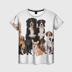 Женская футболка 3D с принтом Породистые собаки в Рязани, 100% полиэфир ( синтетическое хлопкоподобное полотно) | прямой крой, круглый вырез горловины, длина до линии бедер | Тематика изображения на принте: animal | bernese | breed | bulldog | corgi | cute | dog | french | funny | jack | labrador | mountain dog | muzzle | paws | pug | puppy | spaniel | бернский | бульдог | джек рассел | животное | забавный | зенненхунд | корги | лабрадор | лапы | милый