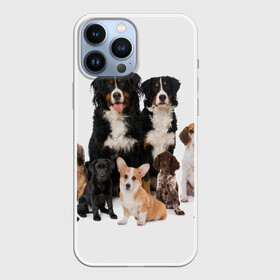 Чехол для iPhone 13 Pro Max с принтом Породистые собаки в Рязани,  |  | animal | bernese | breed | bulldog | corgi | cute | dog | french | funny | jack | labrador | mountain dog | muzzle | paws | pug | puppy | spaniel | бернский | бульдог | джек рассел | животное | забавный | зенненхунд | корги | лабрадор | лапы | милый