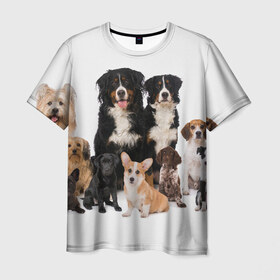 Мужская футболка 3D с принтом Породистые собаки в Рязани, 100% полиэфир | прямой крой, круглый вырез горловины, длина до линии бедер | Тематика изображения на принте: animal | bernese | breed | bulldog | corgi | cute | dog | french | funny | jack | labrador | mountain dog | muzzle | paws | pug | puppy | spaniel | бернский | бульдог | джек рассел | животное | забавный | зенненхунд | корги | лабрадор | лапы | милый