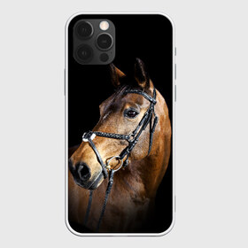 Чехол для iPhone 12 Pro Max с принтом Гнедая лошадь в Рязани, Силикон |  | animal | beautiful | black | brown | eyes | gloss | harness | horse | look | muzzle | взгляд | глаза | гнедая | гнедой | животное | конь | коричневый | красивый | лоск | лошадь | сбруя | скакун | черный