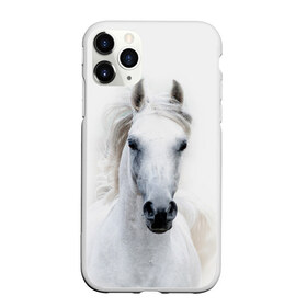 Чехол для iPhone 11 Pro матовый с принтом Белая лошадь в Рязани, Силикон |  | animal | beautiful | gloss | horse | mane | mustang | muzzle | white | wild | белый | грива | дикий | животное | конь | красивый | лоск | лошадь | мустанг | скакун