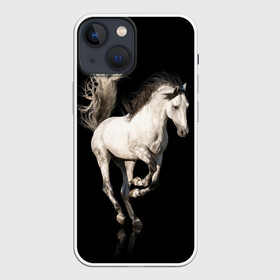 Чехол для iPhone 13 mini с принтом Серный в яблоках конь в Рязани,  |  | animal | beautiful | black | gloss | horse | mane | mustang | muzzle | white | wild | белый | в яблоках | грива | дикий | животное | конь | красивый | лоск | лошадь | мустанг | серый | скакун | черный