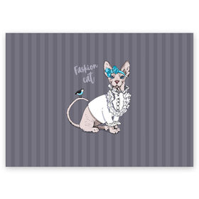 Поздравительная открытка с принтом Fashion cat в Рязани, 100% бумага | плотность бумаги 280 г/м2, матовая, на обратной стороне линовка и место для марки
 | bird | bow | breed | cat | glamor | look | muzzle | sphinx | style | tail | бант | взгляд | гламур | кошка | порода | птица | стиль | сфинкс | хвост