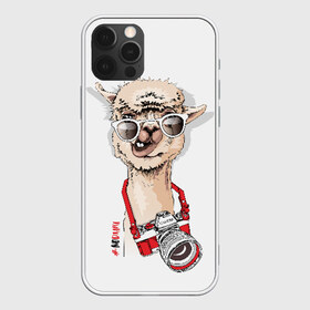 Чехол для iPhone 12 Pro Max с принтом #NoDrama в Рязани, Силикон |  | alpaca | animal | camera | cool | drama | hashtag | head | inscription | llama | look | nodrama | photographer | альпака | взгляд | голова | драма | животное | камера | лама | надпись | очки | прикольный | фотоаппарат | фотограф | хэштег