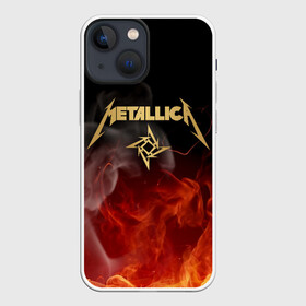 Чехол для iPhone 13 mini с принтом METALLICA в Рязани,  |  | metallica | rock | джеймс хэтфилд | джейсон ньюстед | дэйв мастейн | кирк хэмметт | клифф бёртон | ларс ульрих | металлика | музыка | роберт трухильо | рок