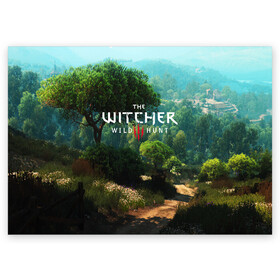 Поздравительная открытка с принтом THE WITCHER 3:WILD HUNT в Рязани, 100% бумага | плотность бумаги 280 г/м2, матовая, на обратной стороне линовка и место для марки
 | cd projekt red | ciri | game | geralt | geralt of rivia | gwynbleidd | the witcher | the witcher 3: wild hunt | ведьмак | ведьмак 3: дикая охота | геральт | геральт из ривии | цири | цирилла