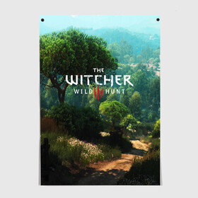 Постер с принтом THE WITCHER 3:WILD HUNT в Рязани, 100% бумага
 | бумага, плотность 150 мг. Матовая, но за счет высокого коэффициента гладкости имеет небольшой блеск и дает на свету блики, но в отличии от глянцевой бумаги не покрыта лаком | cd projekt red | ciri | game | geralt | geralt of rivia | gwynbleidd | the witcher | the witcher 3: wild hunt | ведьмак | ведьмак 3: дикая охота | геральт | геральт из ривии | цири | цирилла